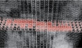 Functionally-graded-wall-showcasing-the-spatial-toolpaths-and-the-cellular-density_W640